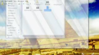 Win2-7 Murrine Aero Videos Blur And Reflection