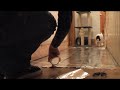 Do Cats Walk On Foil? An Experiment.