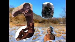 Walking With Cavemen New Years Special 2022