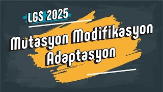 Mutasyon Modifikasyon Adaptasyon 8. Sınıf