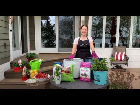 Let's Grow: Growing Fruit in Containers ENGLISH GARDENS