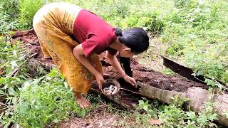 Pretty girl Find worm cook on rock - Pretty girl cooking worms eating delicious
