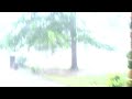 Harvest AL video: Harvest Alabama Tornado Footage April 27, 2011