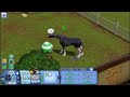 Los Sims 3 Vaya Fauna | Parte 8 | ¡El cumpleaños de Little Stone!