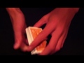 theory 11 magic revealed