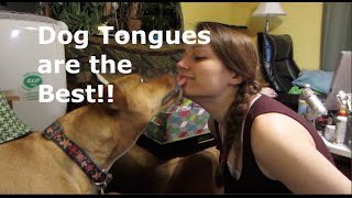 Dog Tongues are the Best!!