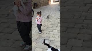Kediler Çok Doymuşlar