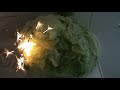How To Blow Up a Lettuce