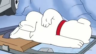 Family Guy But Its Only The Fall Pose 2