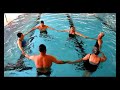 PD geral 2017 PD geral 2017