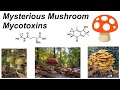 The Science of Mushroom Mycotoxins