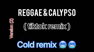 Reggae & Calypso Tiktok Remix Version Version 2