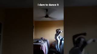 I Dated To Dance It