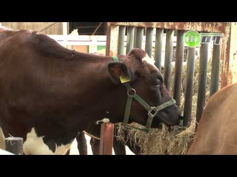 埼玉県こども動物自然公園 - 地域情報動画サイト　街ログ