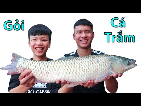 Cách làm gỏi cá trắm