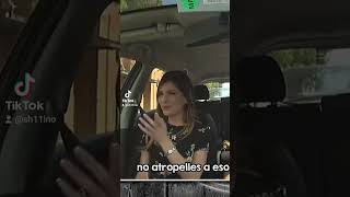 Cristinini Racista