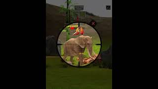 Animal Hunting Level 310 Wild Game Adventure Begins
