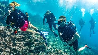 SCUBA DIVING WITH SHARKS! SCUBA DIVING WITH SHARKS!