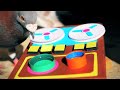 Dansette Junior - Paranoid (Official Video)
