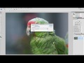 PHOTOSHOP FILTERS