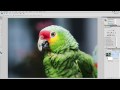 PHOTOSHOP FILTERS