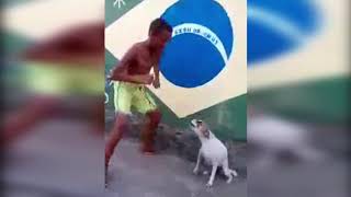 Samba yapan köpek