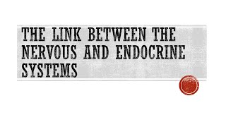 The Link Between The Nervous And Endocrine Systems
