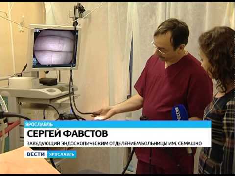 Самые простые и самые сложные в уходе породы собак Поволжская гильдия риэлторов