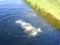 brooke jumping in the river