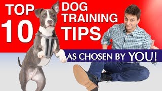 My Top 10 Most Helpful Dog Training Tips as Chosen By You! (Signed Books Giveaway and more)