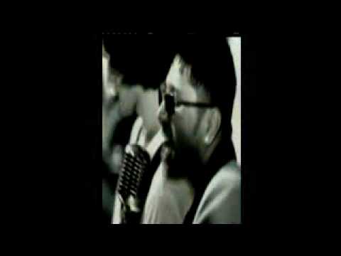 oh carol - Stereo nation
