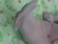 Bayi duyung.3gp child fish
