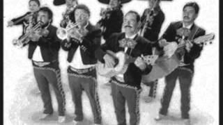 Watch Vicente Fernandez Sin Papeles video