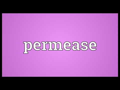 Header of permease