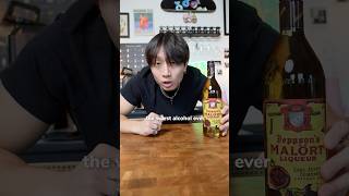 Malort Review