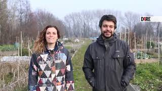 Le Sardine senza piazza ripartono dagli orti: "Pure questa è politica"
