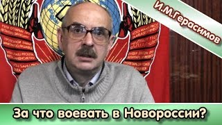 И.М.Герасимов: "За что воевать в Новороссии?"
