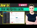 How to clear wordpress cache 2024
