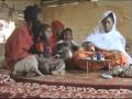 Mauritania - Pray North Africa
