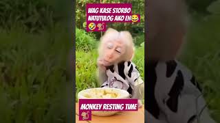 Sarap Ng Tulog Ko Storbo Kayo