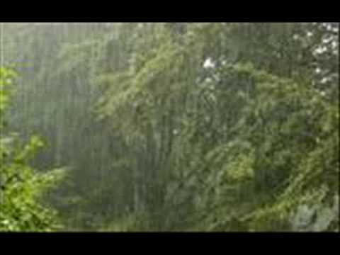 barsaat ke mausam main with lyrics