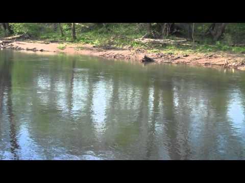 trout fishing MONSTER BROOK TROUT