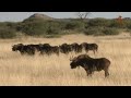 Namibia Erleben Teil 6 Lodges Zum Wohlf Hlen images Namibia Erleben Teil 6 Lodges Zum Wohlf Hlen