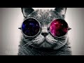 1 HOUR BEST GAMING MIX {ELECTRO, HARD DANCE, DUBSTEP, DRUMSTEP} #4 1 HOUR BEST GAMING MIX {ELECTRO, HARD DANCE, DUBSTEP, DRUMSTEP} #4