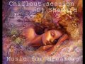 Chillout Session-Music for Dreamers Dj Dave Shepard