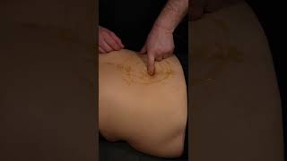 Deep Honey Belly On Mage - Asmr Relaxing