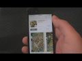 ios 5