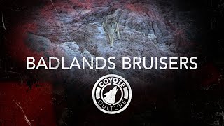 Watch Bruisers Badlands video