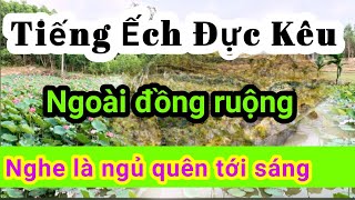 Tiếng Ếch Đồng Kêu Tiếng Ếch Kêu Mồi Tiếng Ếch Kêu Gọi Bầy
