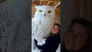 Shocking Animal